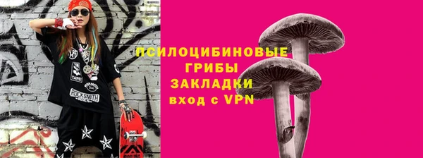 ПСИЛОЦИБИНОВЫЕ ГРИБЫ Богородицк