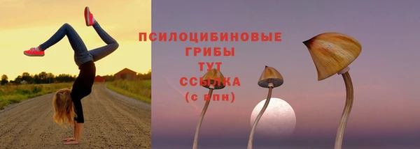 СК Богданович