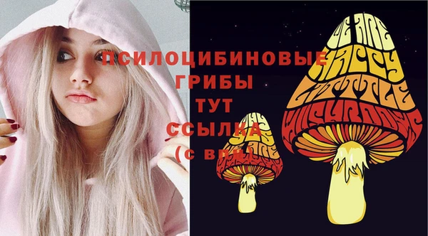 прущий лед Беломорск