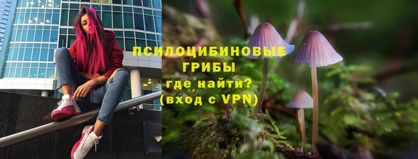 ПСИЛОЦИБИНОВЫЕ ГРИБЫ Богородицк