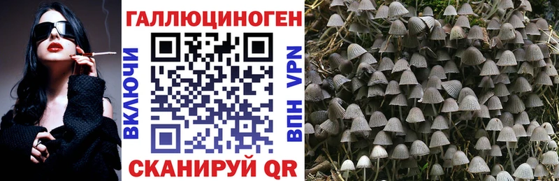 сколько стоит  Дагестанские Огни  OMG ТОР  Галлюциногенные грибы Magic Shrooms 
